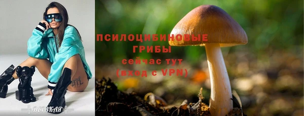бутират Армянск